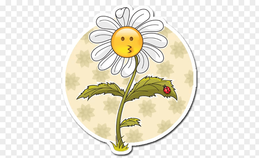 Chamomile Drawing Common Daisy PNG