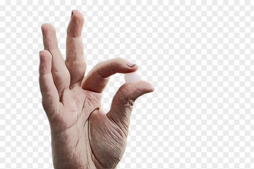 Hand Model PNG
