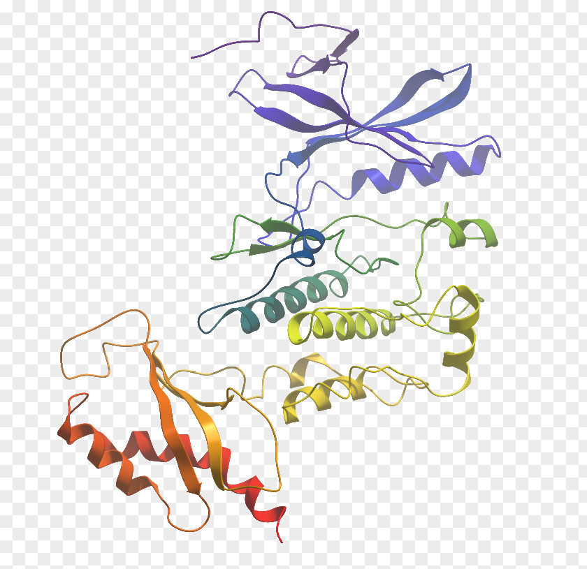 Illustration Clip Art Graphic Design WNK Lysine Deficient Protein Kinase 3 PNG
