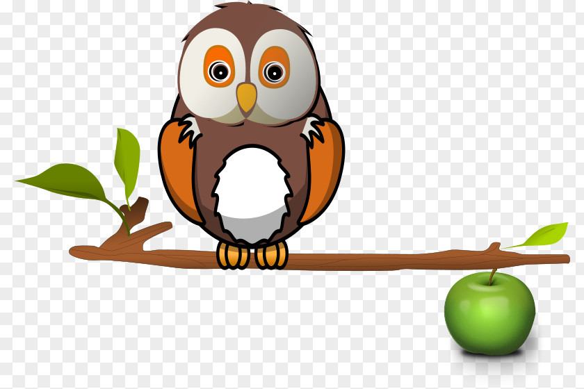 Owl Bird Branch Clip Art PNG