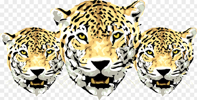 Three Tigers Jaguar Amur Leopard Cheetah Clip Art PNG
