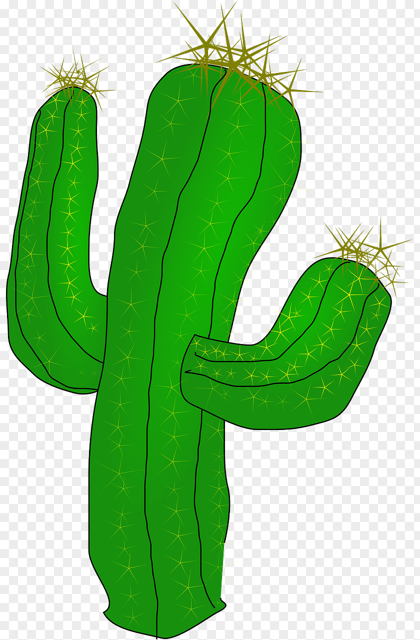 Desert Flower Clip Art Cactus Openclipart Free Content Image PNG