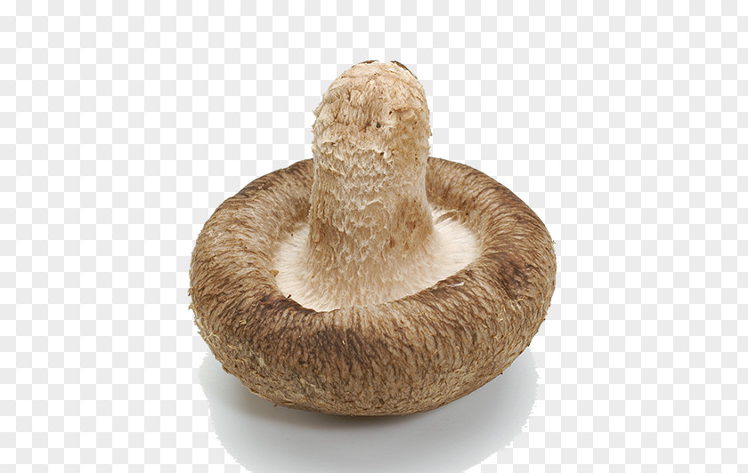 Inverted Mushroom Edible Shiitake Food PNG