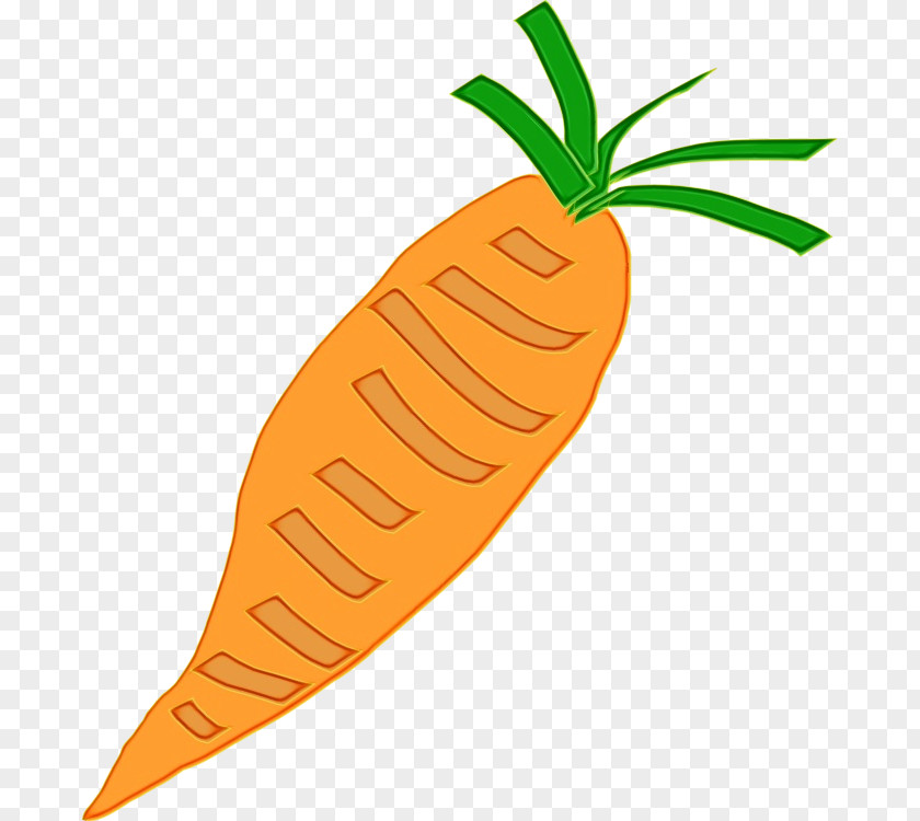 Vegan Nutrition Daikon Carrot Cartoon PNG