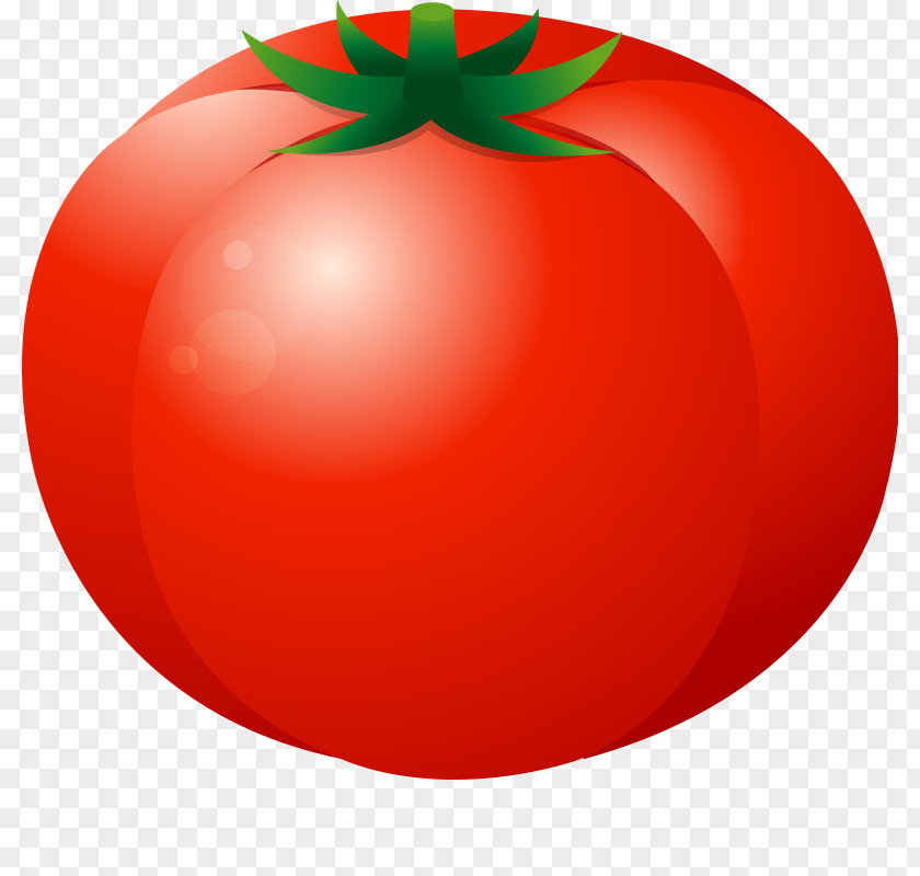 Vegetables,Fruits And Vegetables,Melon Fruit,food,fruit Plum Tomato Fruit Vegetable Food Melon PNG