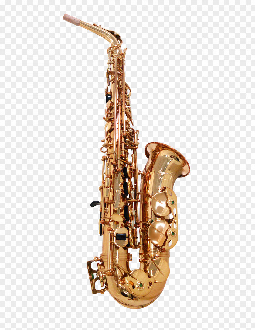Bacon Bits Baritone Saxophone Clarinet Family Bass Oboe PNG
