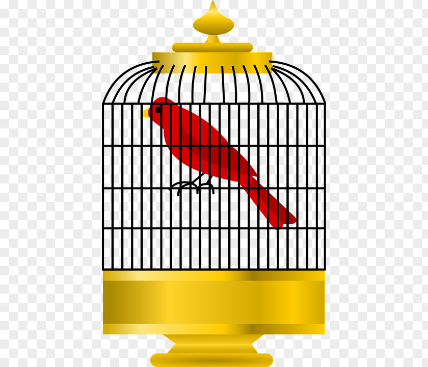 Bird Cage Parrot Cartoon Clip Art PNG