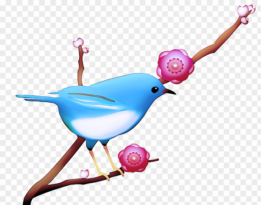 Bird Pink Branch Beak Perching PNG