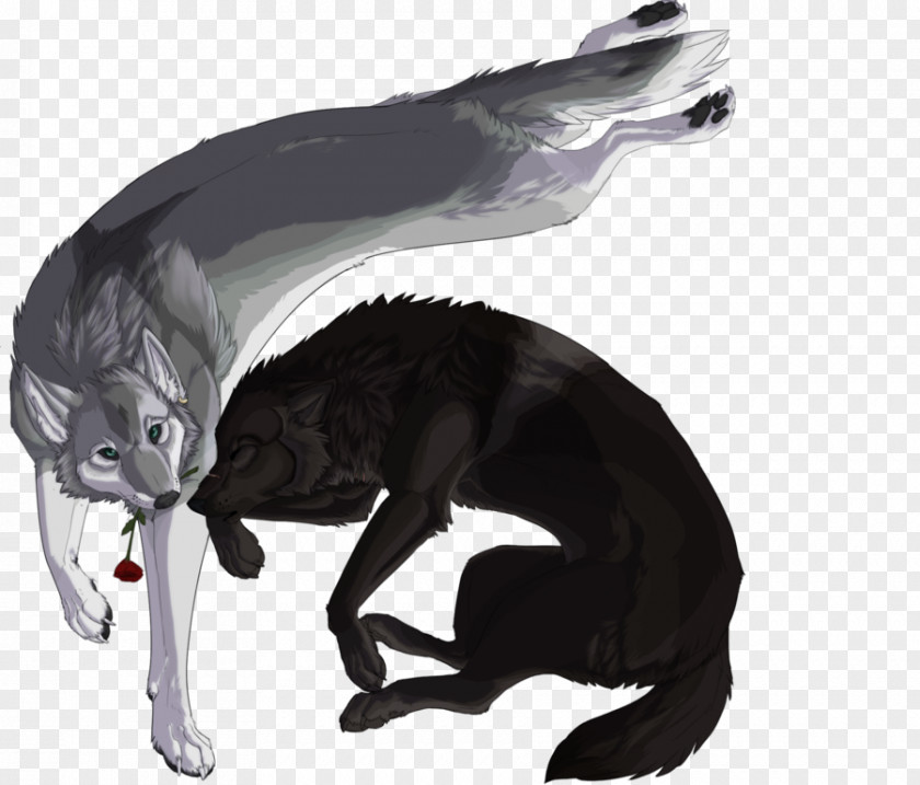 Cat Gray Wolf Black DeviantArt Fur PNG