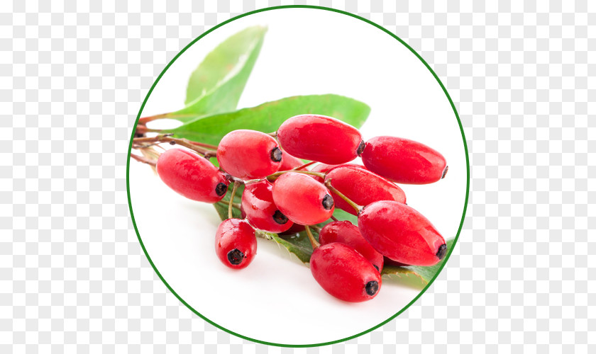 Cranberry Flavor Food Herb Crataegus Laevigata PNG
