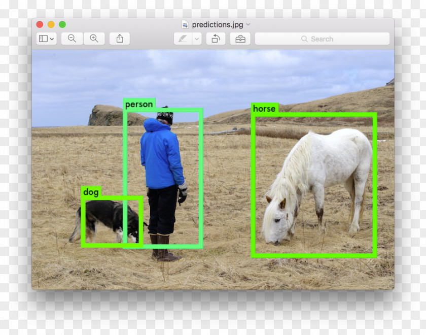 Detection Object Deep Learning Pedestrian TensorFlow Convolutional Neural Network PNG