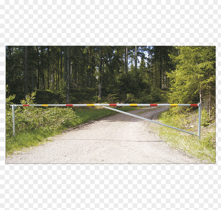 Dirt Roads Trafikhinder Road Speed Bump Asphalt Plastic PNG