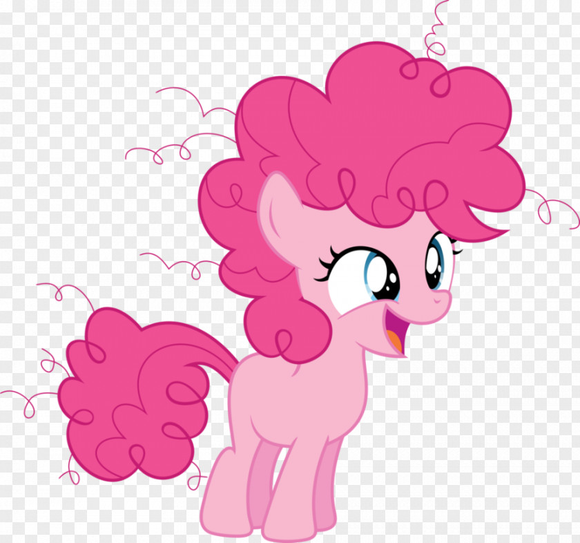 Hawk Pinkie Pie Rarity Applejack Rainbow Dash Twilight Sparkle PNG