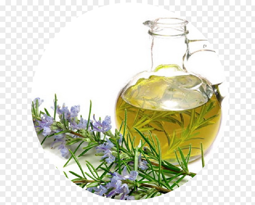 Oil Rosemary Essential Olive PNG