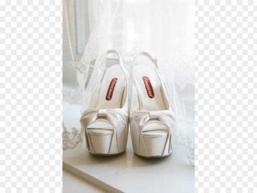 Sandal Shoe PNG