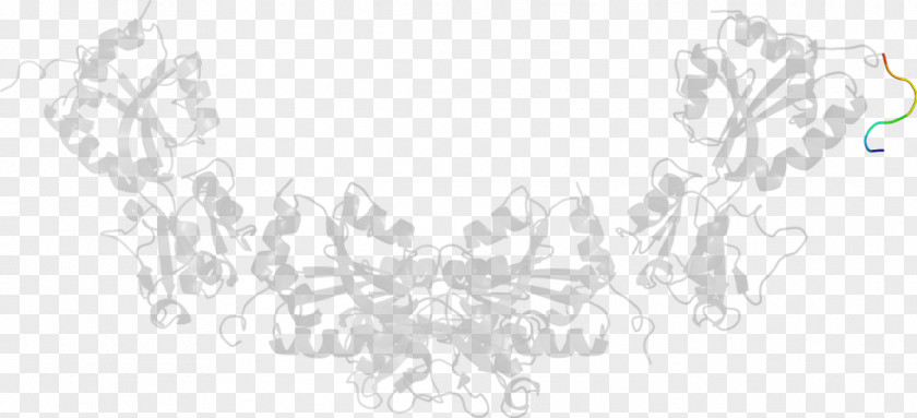 Tree Line Art Drawing White Body Jewellery PNG