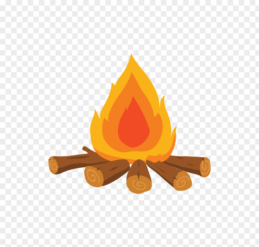 Wood Fire PNG fire clipart PNG