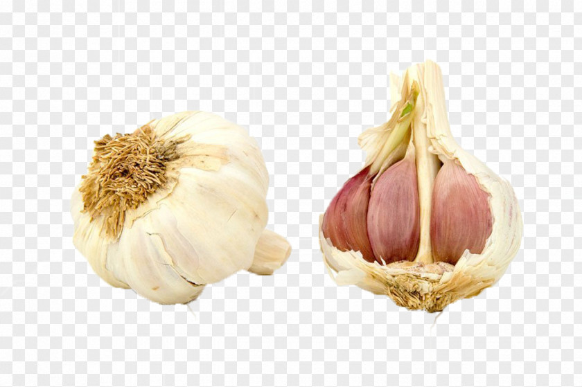 2 Garlic Organic Food Dietary Supplement Vegetable PNG
