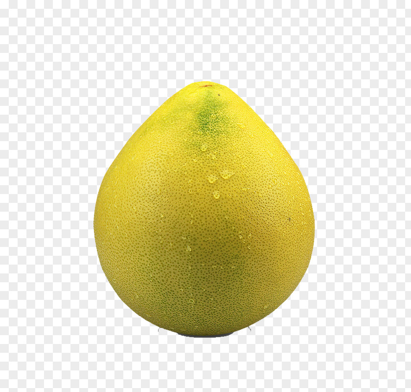 A Whole Grapefruit Lemon Citron Citrus Junos Pomelo PNG