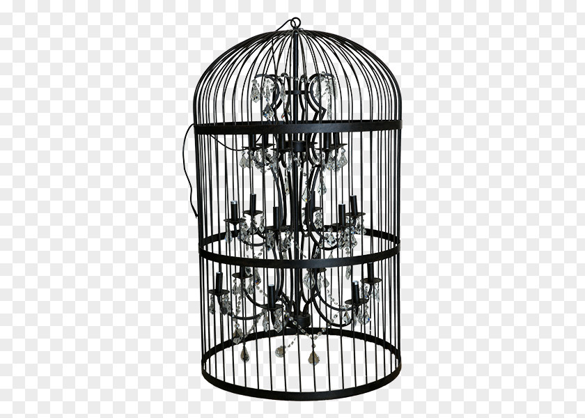 Black Birdcage Chandelier Light Fixture Crystal PNG