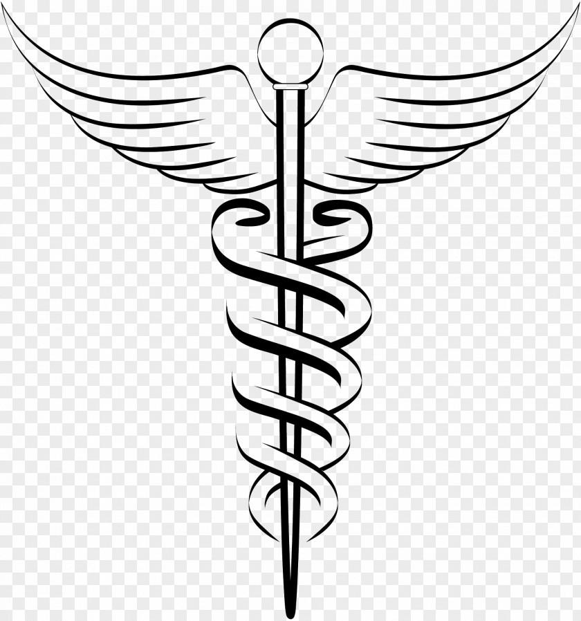 Caducei Cliparts Nursing Registered Nurse Caduceus As A Symbol Of Medicine Clip Art PNG