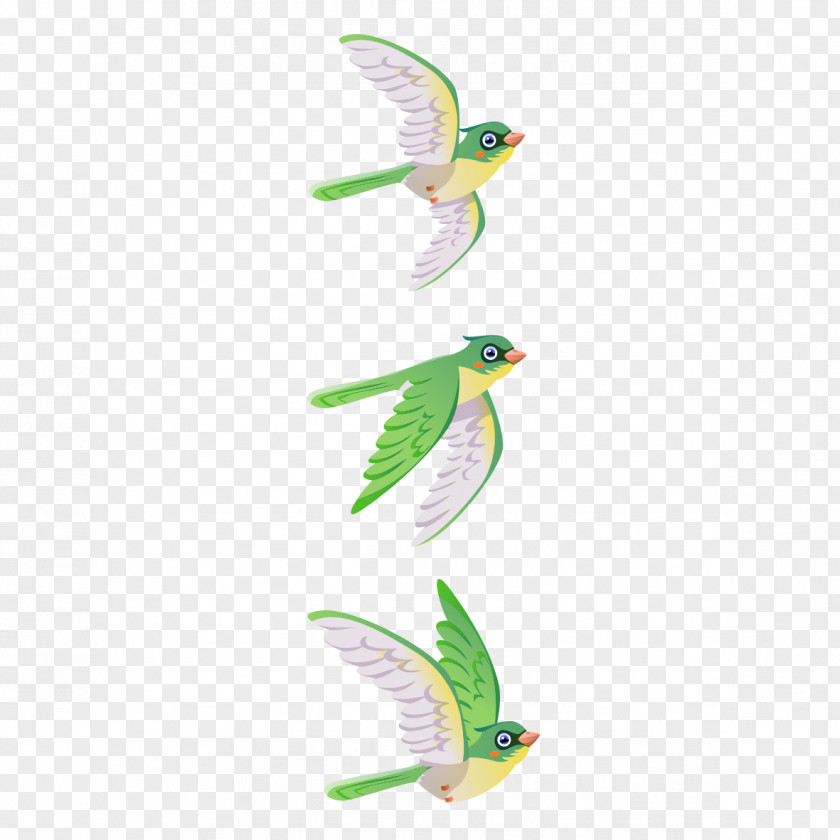 Green Birds Bird Parrot PNG