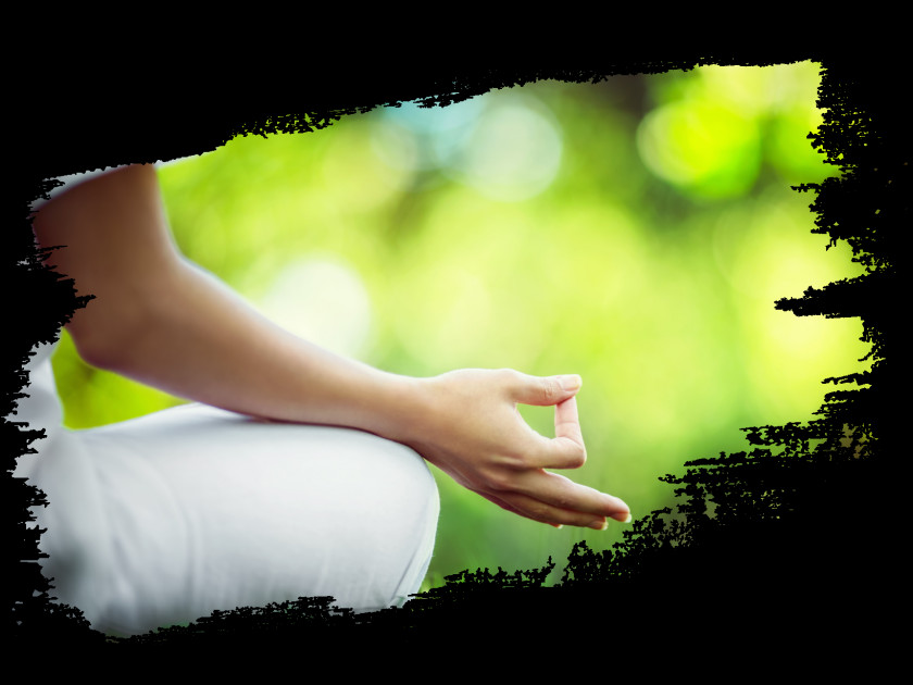 Yoga Alternative Health Services Detoxification Meditation PNG