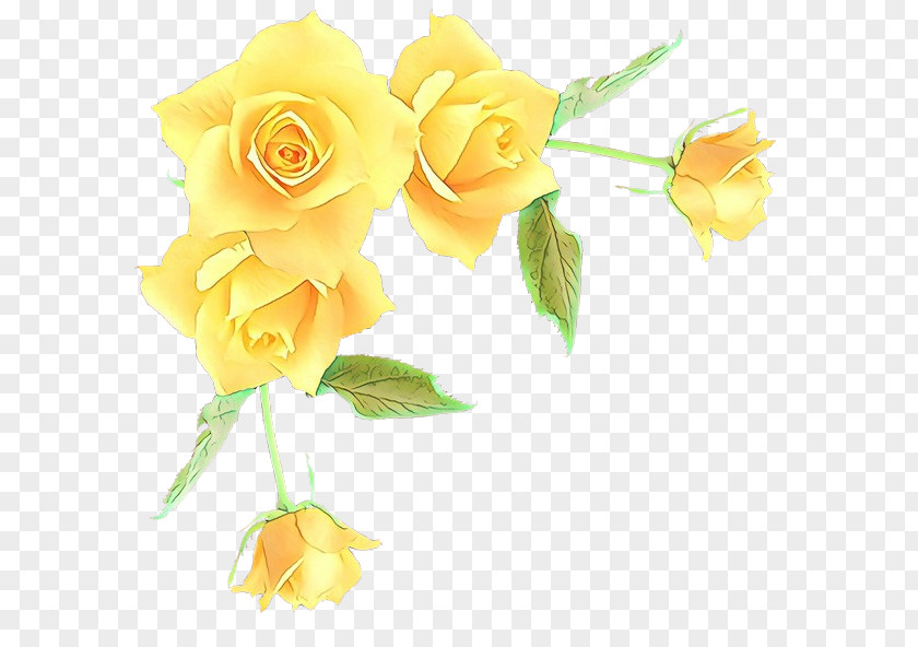 Hybrid Tea Rose Pedicel Bouquet Of Flowers Drawing PNG