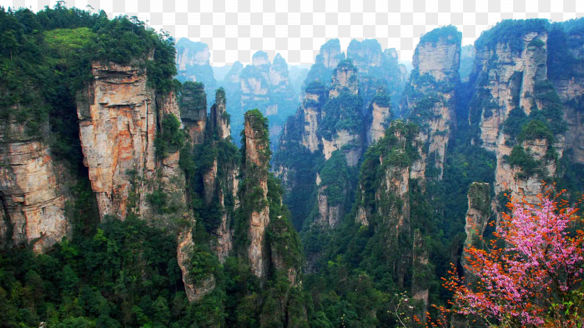 Zhangjiajie National Forest Park Sixteen Tianmen Mountain Avatar Hallelujah Kuala Lumpur Package Tour PNG
