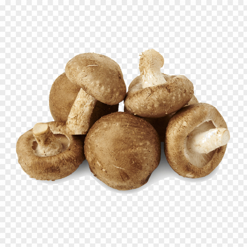 Mushroom Shiitake Common Liqueur Edible PNG