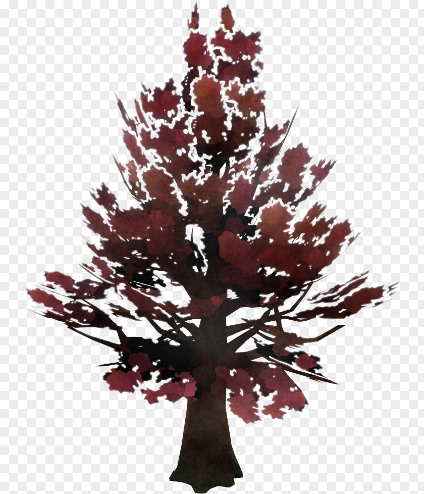 Tree Leaf Red Plant Woody PNG