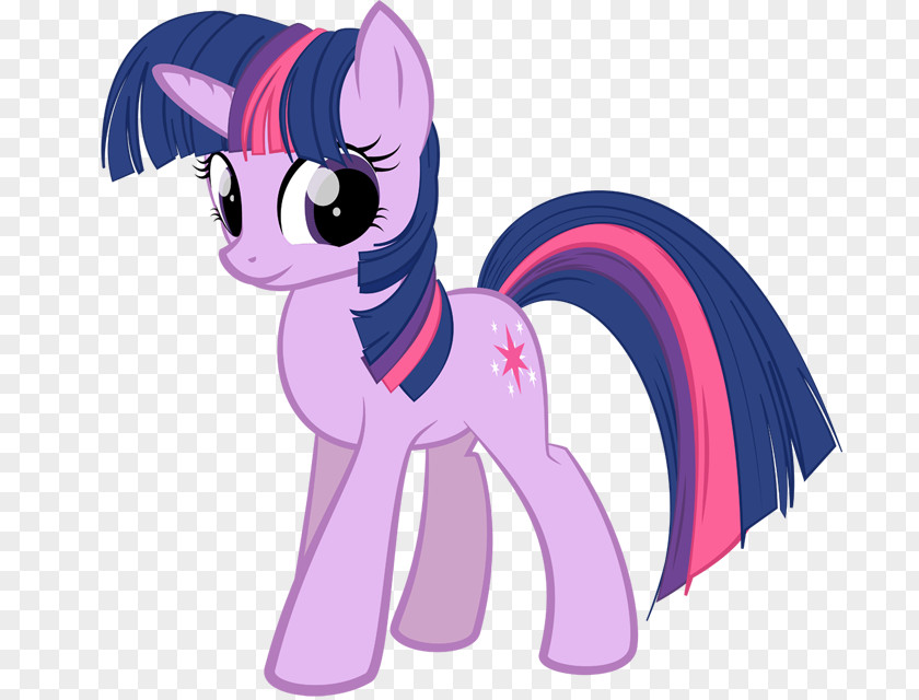 Twilight Sparkle Transparent Pinkie Pie Rainbow Dash Rarity Pony PNG