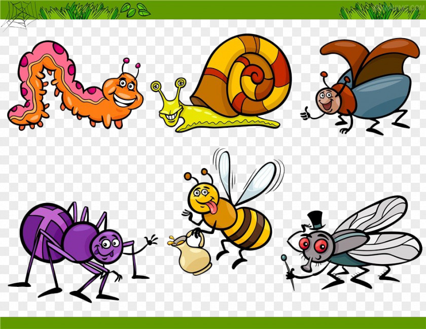 All Kinds Of Insects Insect Cartoon Illustration PNG