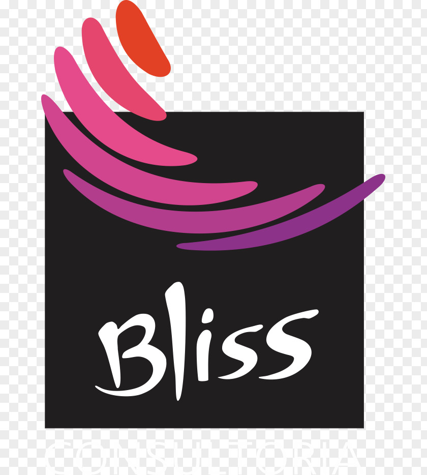 Bliss Coaching Consultant Training Human Resource Management Consultoria PNG