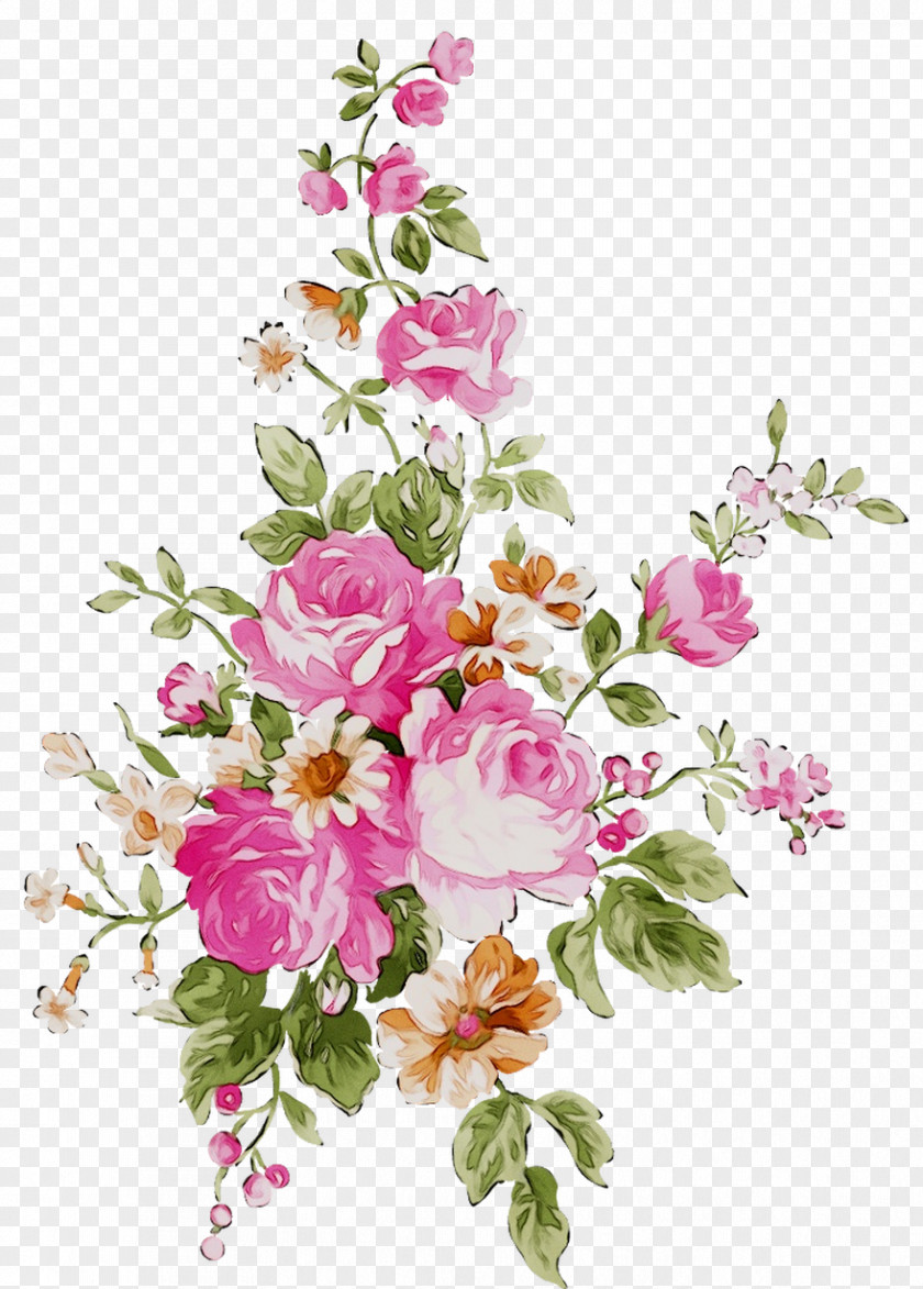 Clip Art Flower Image Vector Graphics PNG