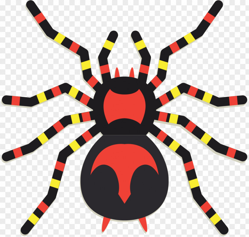 Clip Art Spider Insect Vector Graphics PNG