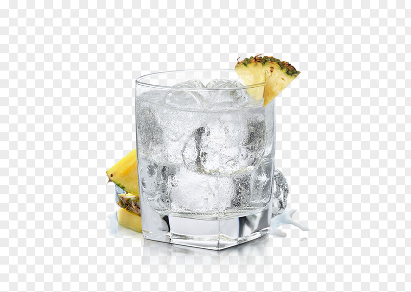 Cocktail Gin And Tonic Garnish Wine Vodka PNG