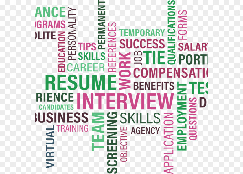 Human Resource Management Job Interview Description Hunting Employment PNG