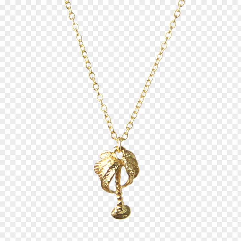 Jewellery Chain Necklace Charms & Pendants Locket PNG