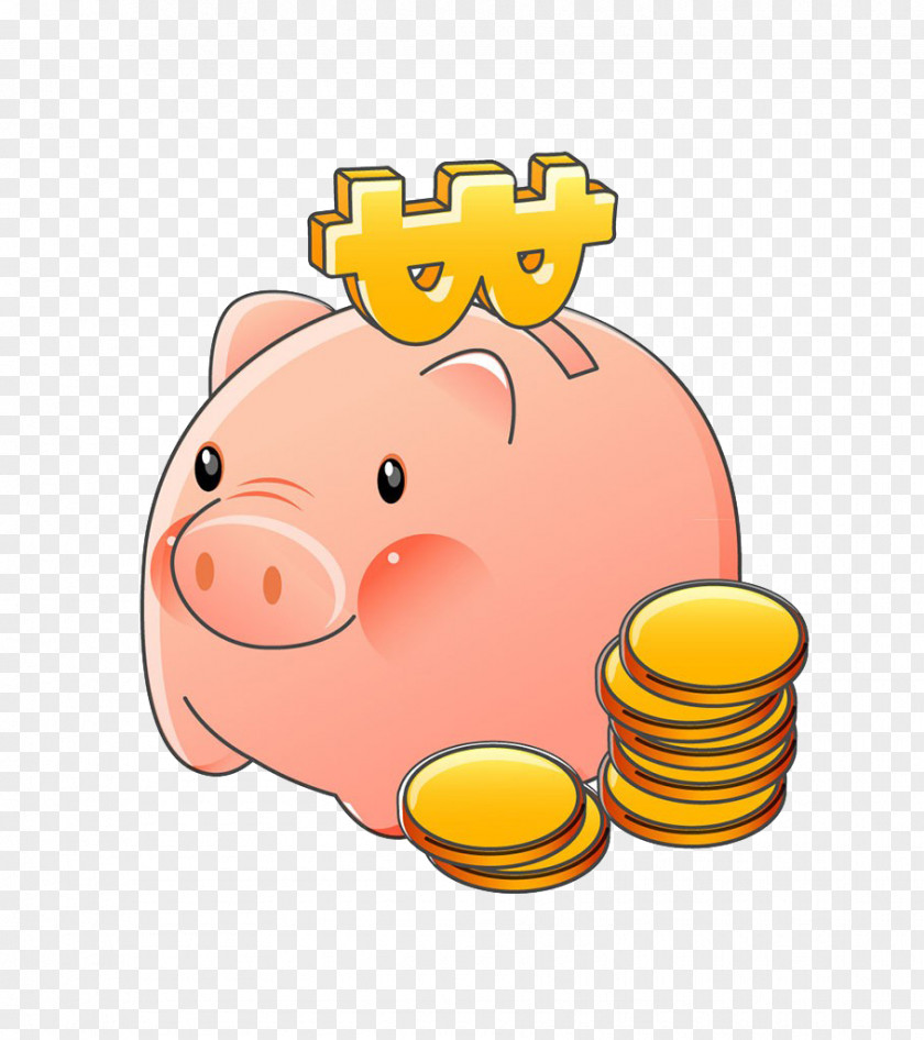 Piggy Bank Illustration Designer PNG