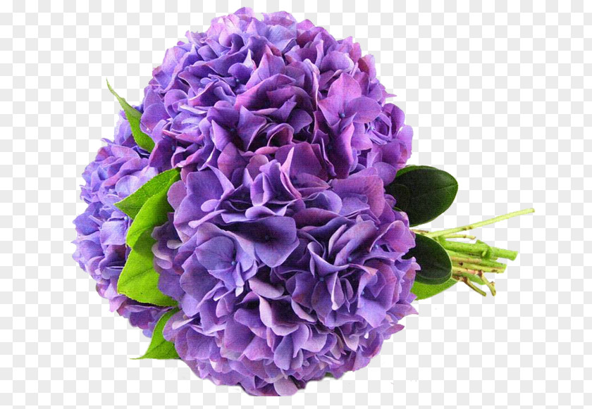 Wedding Hydrangea Flower Bouquet Violet PNG