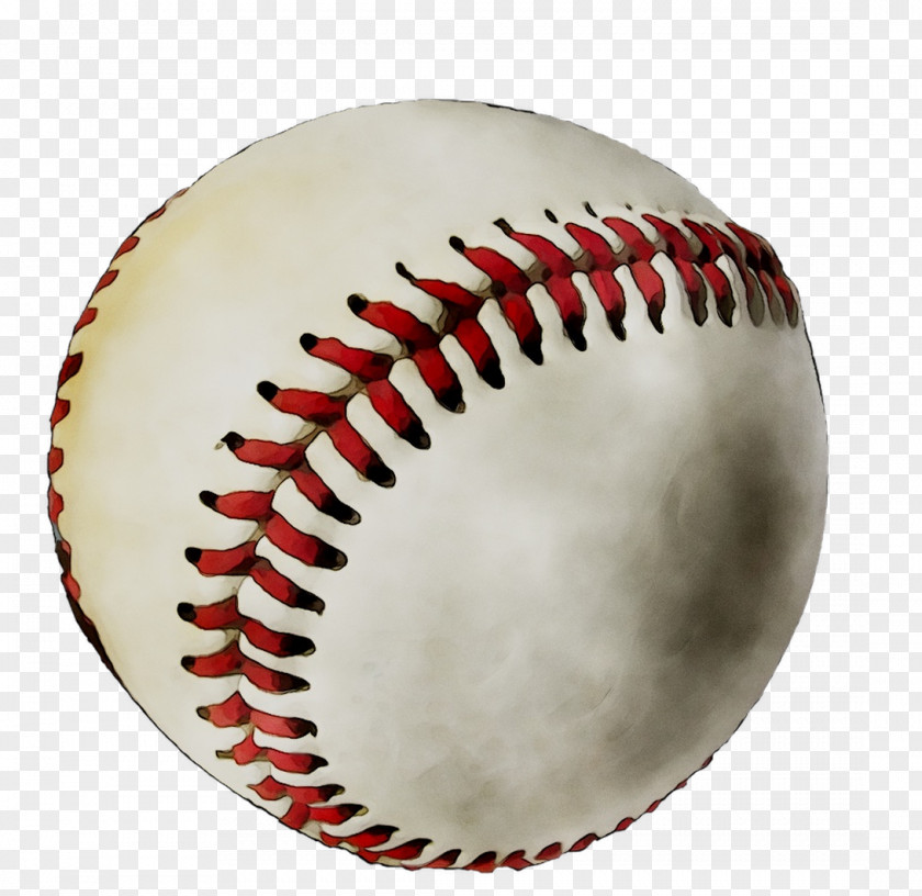 Baseball Bats Softball Cal State Northridge Matadors Out PNG