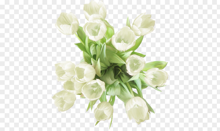 Flower Garden Roses Carnation White PNG