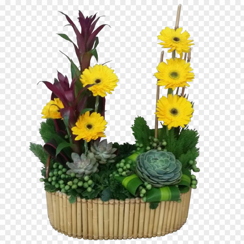 Flower Transvaal Daisy Floral Design Flowerpot Cut Flowers PNG