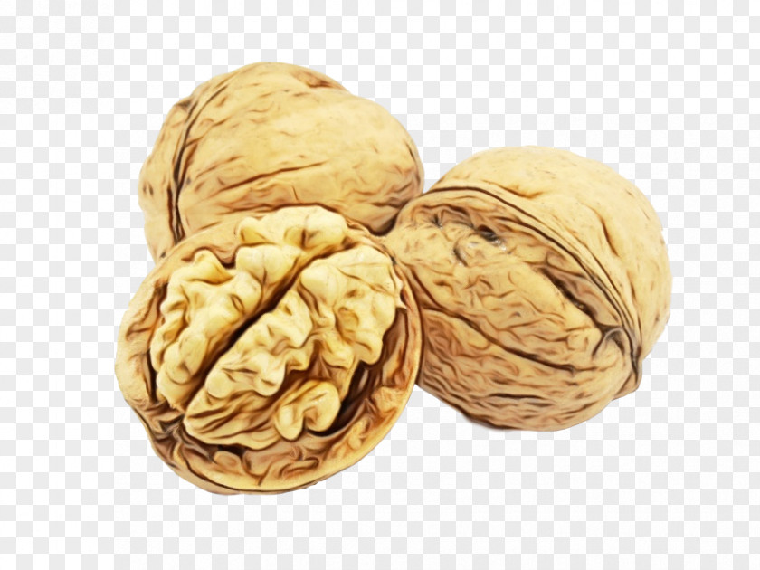 Ingredient Plant Walnut Nut Nuts & Seeds Food PNG