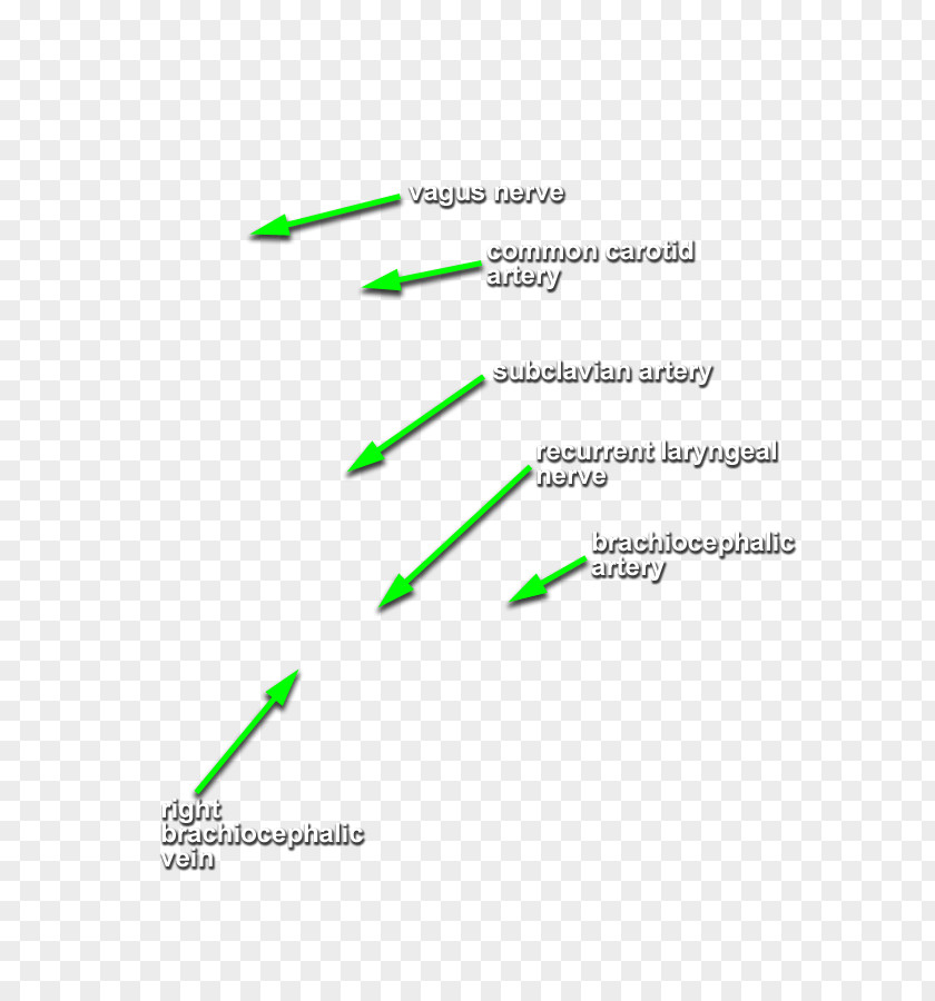 Line Diagram PNG