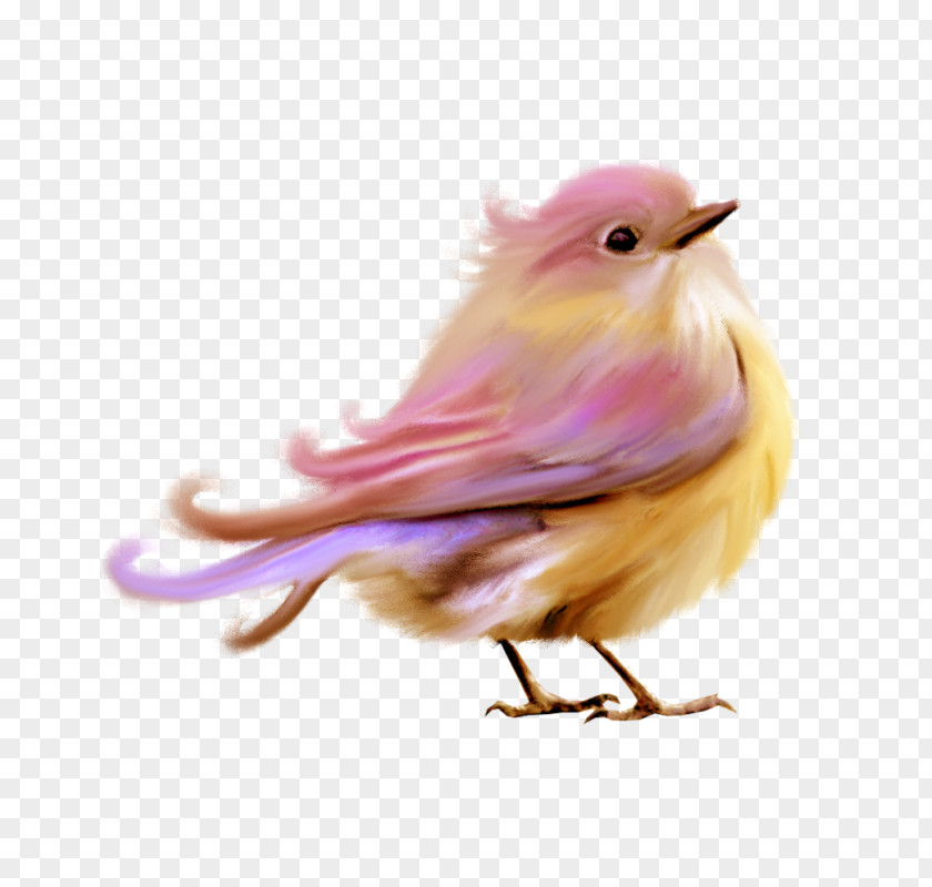 Cute Little Birds Lovebird Purple Clip Art PNG