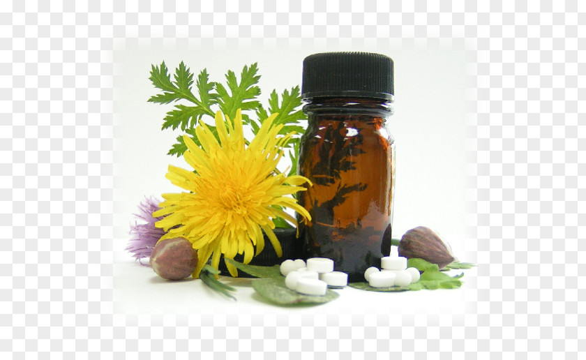 Nature Medicine Homeopathy Essential Oil Alternative Health Services PNG