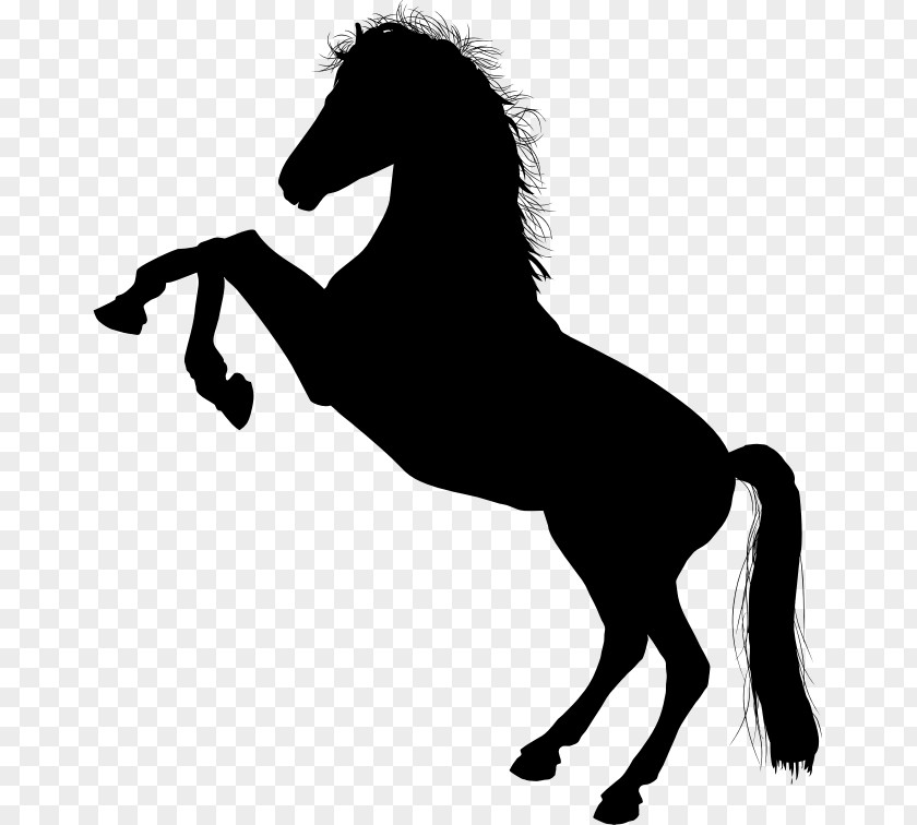 Pony Vector Horse Unicorn Clip Art PNG