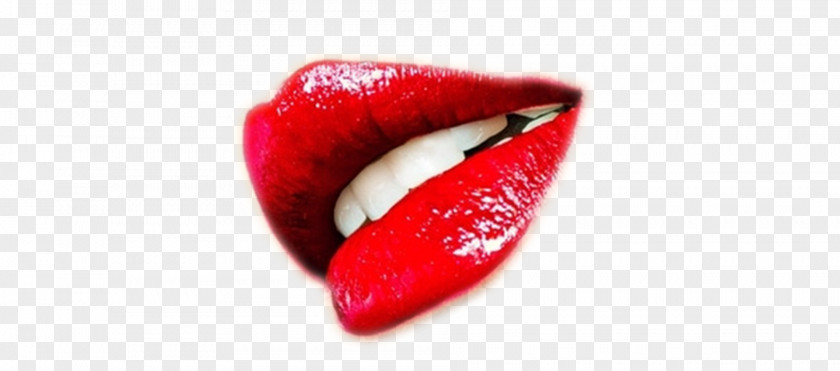 Flaming Lips Makeup Wallpaper PNG